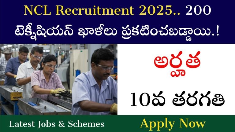 NCL Recruitment 2025
